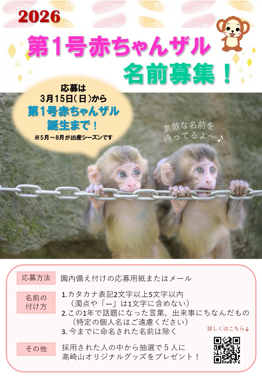 第１号赤ちゃん名前募集