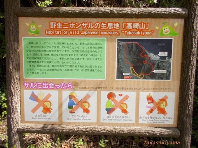 セラピー体験 スタッフブログ 高崎山自然動物園