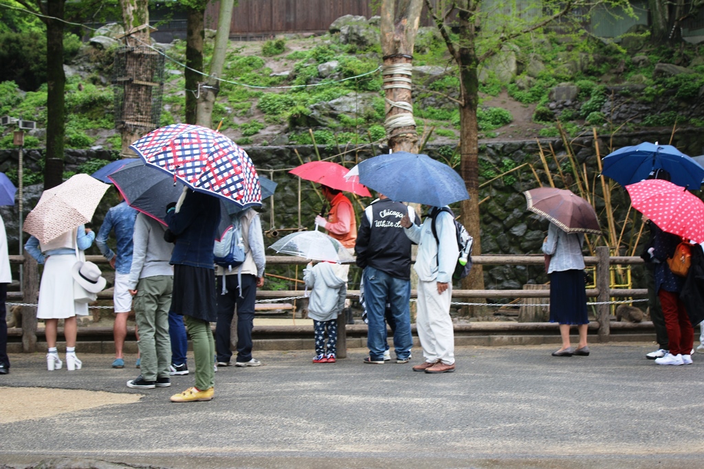 魔力です