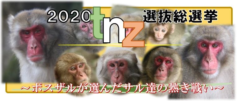 ２０２０ｔｎｚ選抜総選挙 ボスザルが選んだサル達の熱き戦い 結果 トピックス 高崎山自然動物園