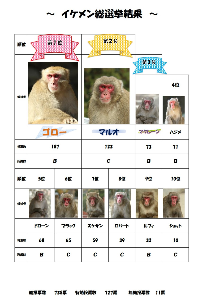 ２０２０ｔｎｚ選抜総選挙 ボスザルが選んだサル達の熱き戦い 結果 トピックス 高崎山自然動物園